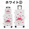 拡張機能付き 充電機能搭載 静音キャスター 軽量 スーツケース C-30012